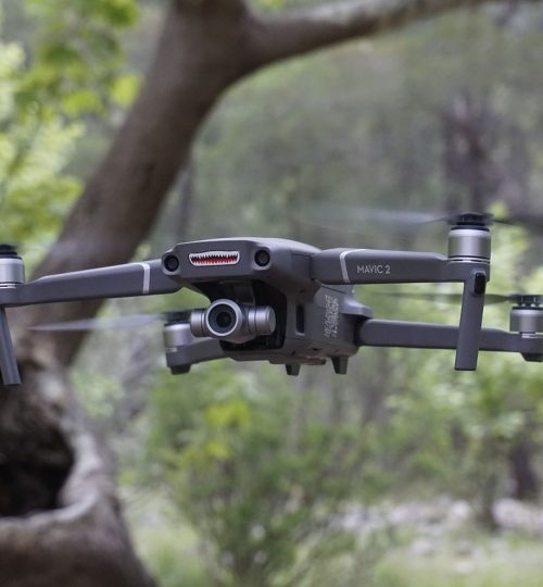 drone, forest, outdoor-5422606.jpg