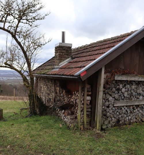 hut, nature, wood texture-7048588.jpg