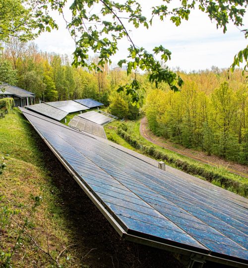 solar panels, forest, meadow-7036413.jpg