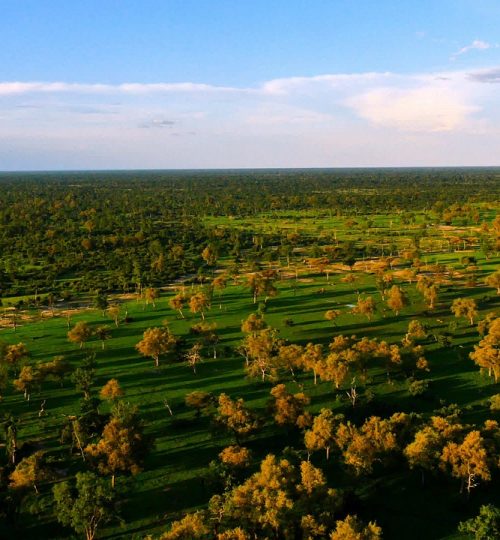 trees, fields, horizon-5916621.jpg